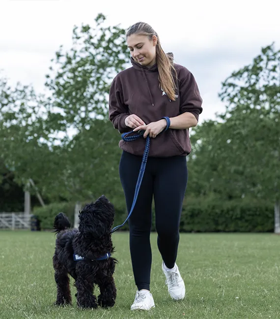 dog trainer in felstead dog trainer in felstead