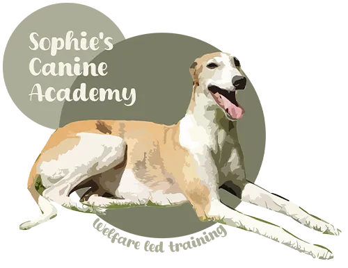 Sophie's Canine Academy